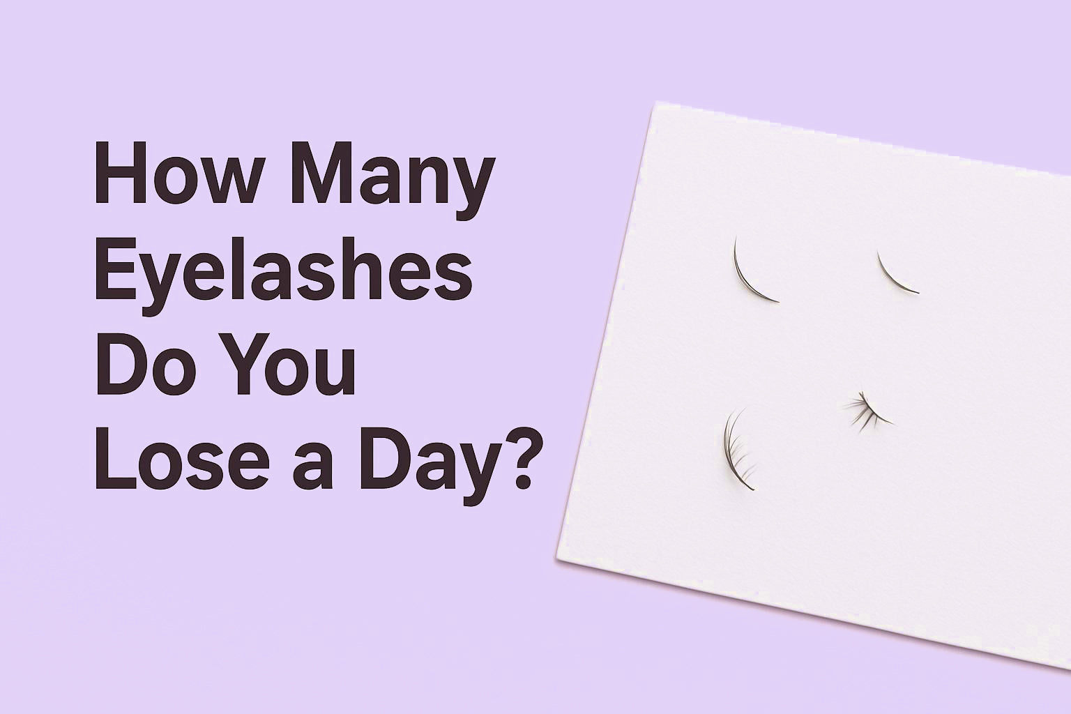 How Many Eyelashes Do You Lose a Day