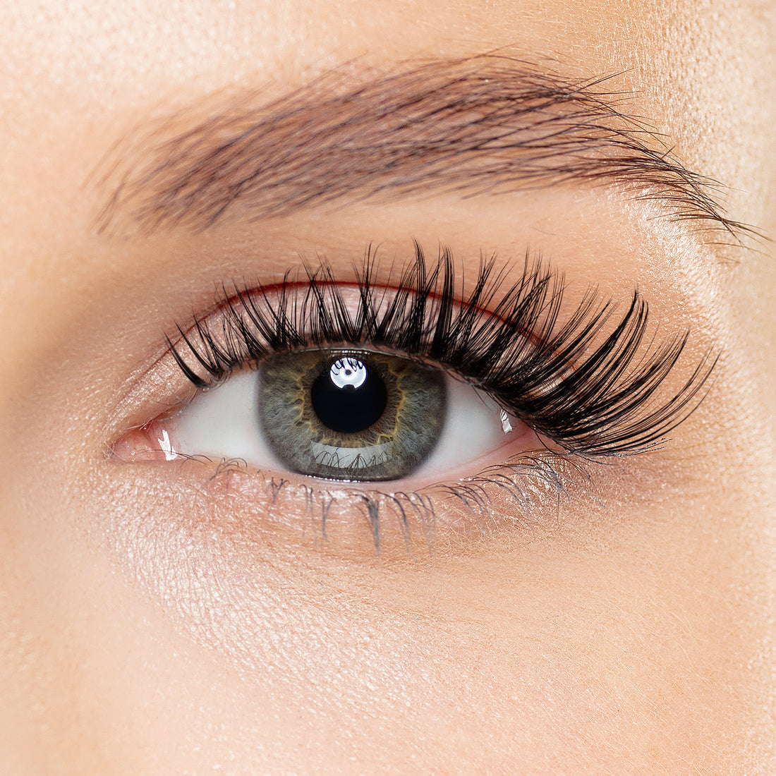 Eyelash Extension Kit B19